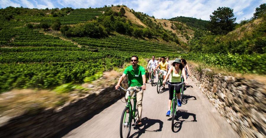 Grape Grazing: Wachau Valley Winery Biking Tour - Dürnstein, wine, and a castle climb