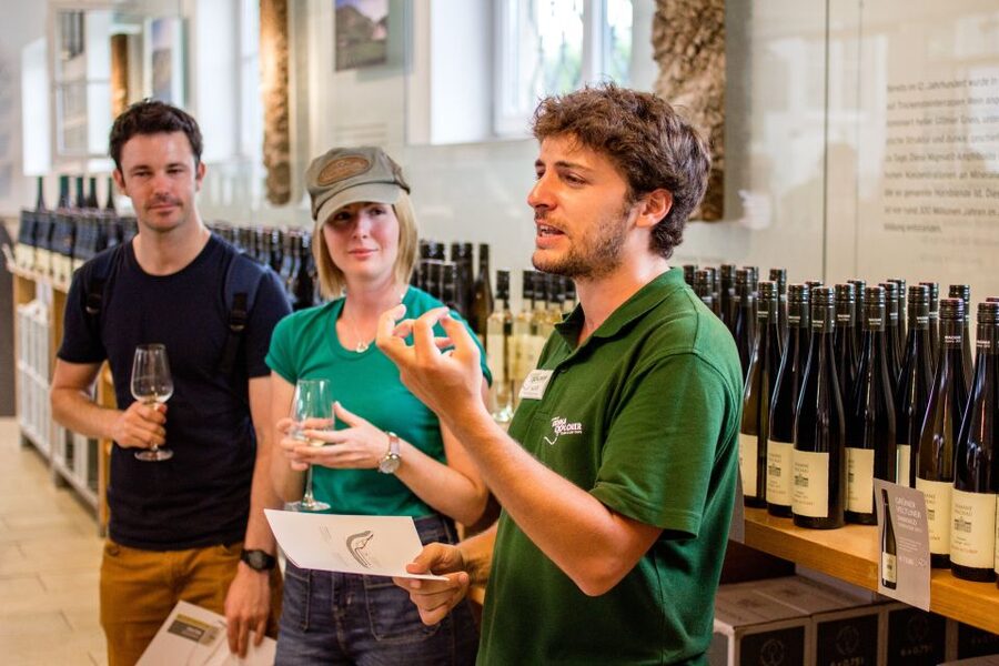 Grape Grazing: Wachau Valley Winery Biking Tour - The final ride back to Krems