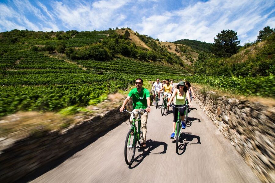 Grape Grazing: Wachau Valley Winery Biking Tour - Riding the first stretch toward Dürnstein