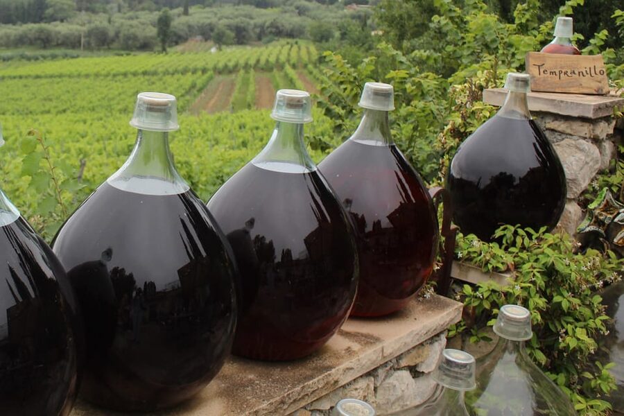 Grasse, Valbonne & Gourdon: Day Tour with Wine Tasting - A final glass in the Bellet vineyards