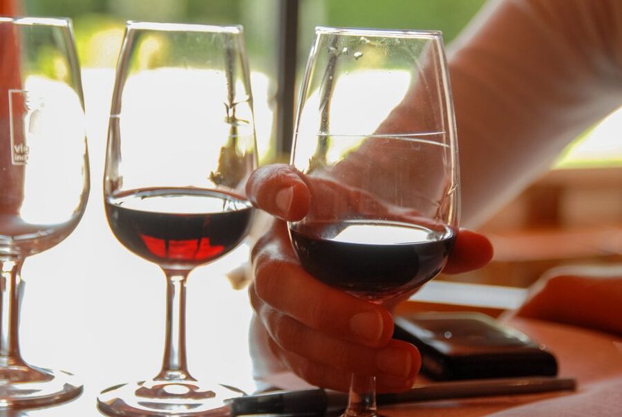 Grasse, Valbonne & Gourdon: Day Tour with Wine Tasting - What the day costs you in time and energy