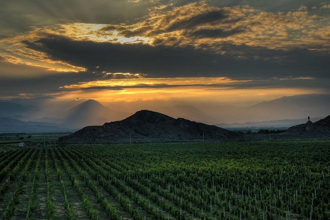 Group tour: Khor Virap, Noravank, Areni Winery and Cave - What the guide adds to the day