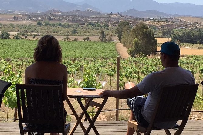 Guadalupe Valley Wine Route Tour in Baja California - Lunch Is Part of the Experience, But Not the Price