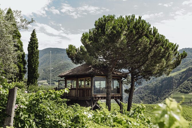 Guided winery tour with tasting in Bolzano at the SKYWINE PAVILLON - Key points to know before you book