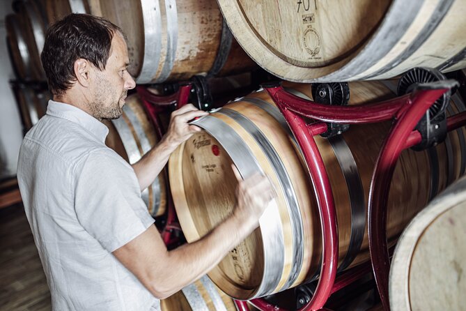 Guided winery tour with tasting in Bolzano at the SKYWINE PAVILLON - How much value do you get for $45.86?