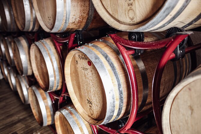 Guided winery tour with tasting in Bolzano at the SKYWINE PAVILLON - Who will enjoy this Bolzano wine experience?