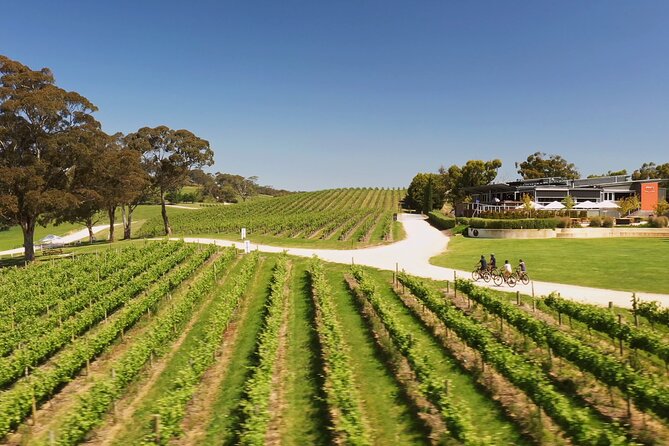 Hahndorf food and wine E-Bike Tour - The Lane Vineyard brings the day back home