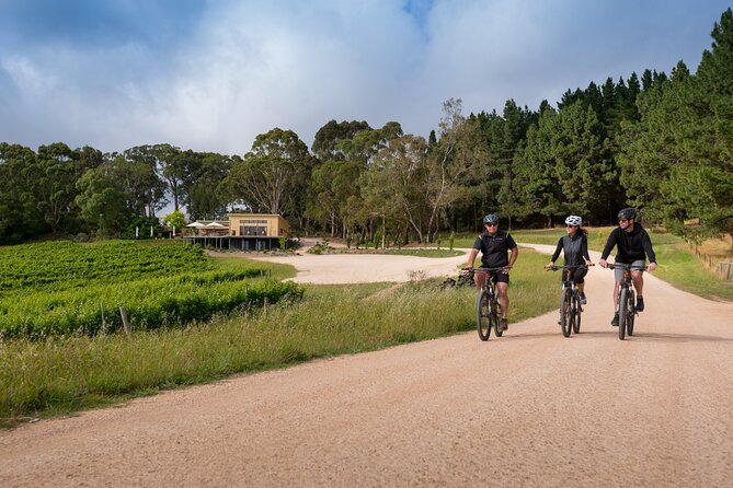 Hahndorf food and wine E-Bike Tour - What the $182.90 price covers