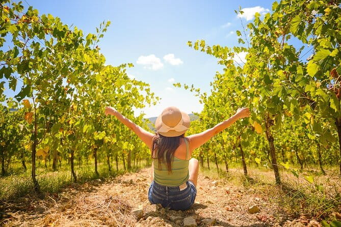 Half day Chianti Vineyard Escape from Florence with Wine Tastings - Why this half-day Chianti trip works from Florence