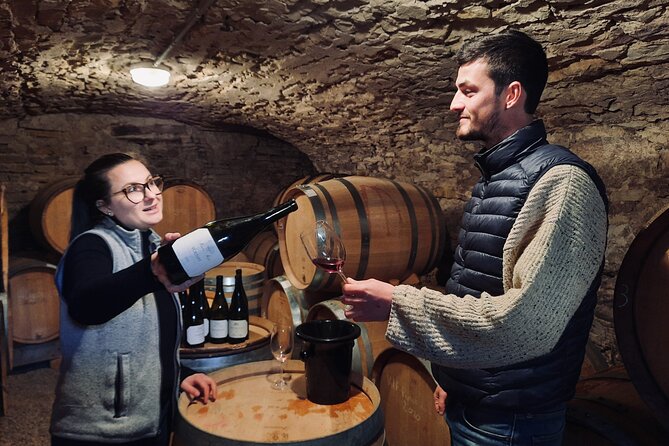 Half-day guided tour on the Burgundy wine Route in a classic car - Who will enjoy this tour most
