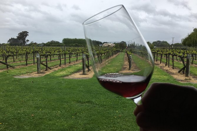 Half-Day Marlborough Wine Tour & Beer Tour - Why this half-day tour works well in Marlborough