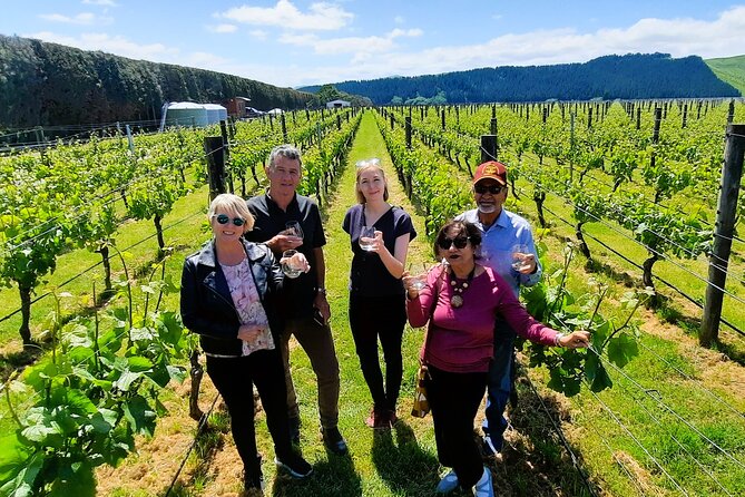 Half Day Martinborough Winery Tour from Wellington - Three winery visits, three different rhythms