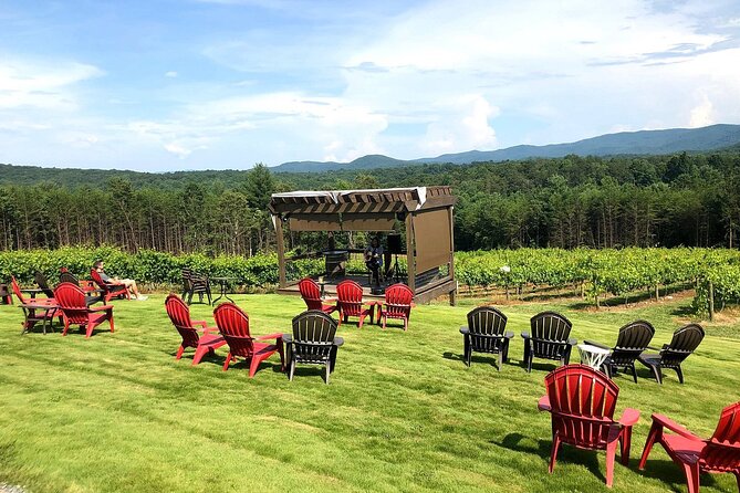 Half-Day North Georgia Wine Country Tour From Atlanta - Who will enjoy this half-day outing?
