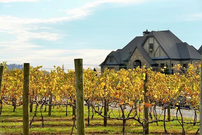 Half-Day North Georgia Wine Country Tour From Atlanta - Ott Farms and Vineyard and its mountain views