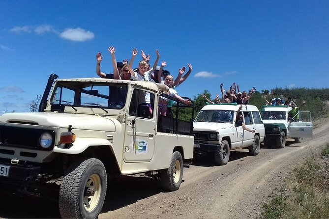 Half Day Safari Tour with Wine Tasting - Is $70.14 a fair price?