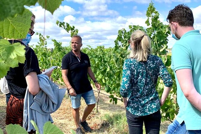 Half Day Safari Tour with Wine Tasting - My advice before you go