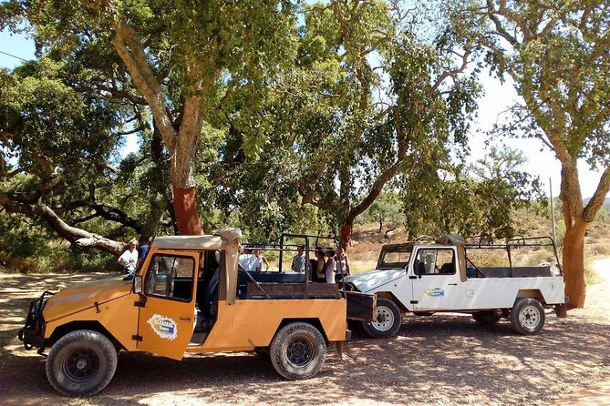 Half Day Safari Tour with Wine Tasting - Conqueiros and the cork story