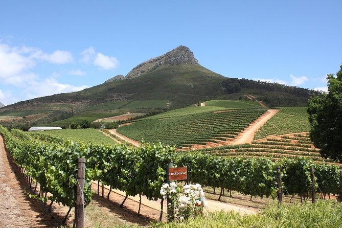 Half-Day Stellenbosch Winelands Tour from Cape Town - The drive from Cape Town to Stellenbosch