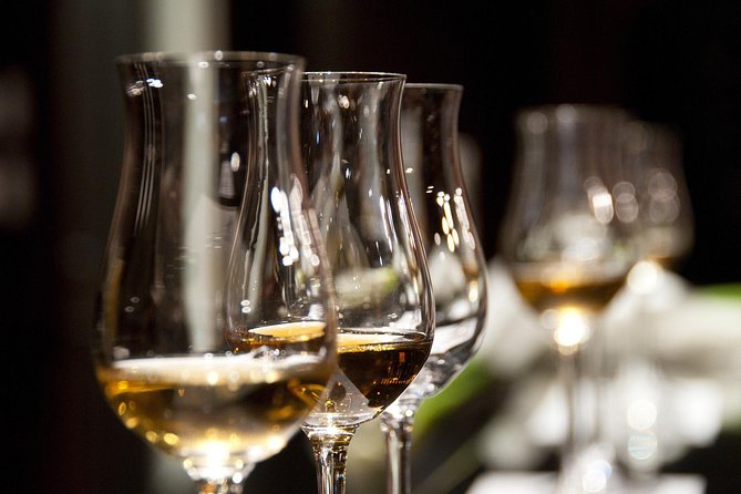 Half-Day Stellenbosch Winelands Tour from Cape Town - First tasting: wine, cheese, and estate atmosphere