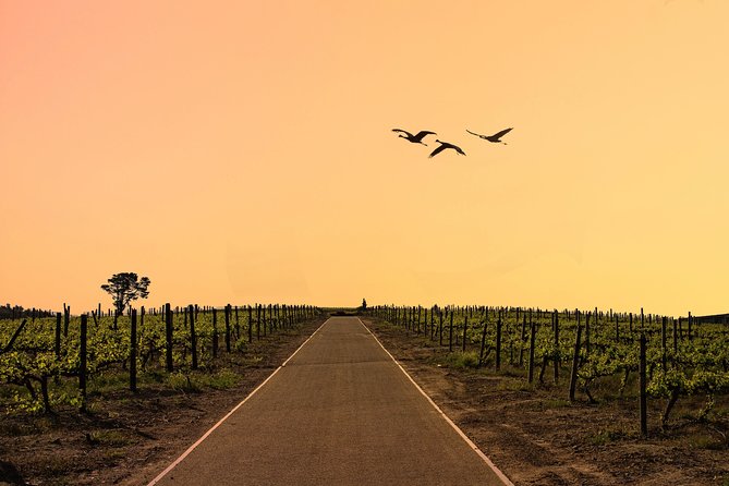 Half-Day Stellenbosch Winelands Tour from Cape Town - A quick look at Stellenbosch’s old streets