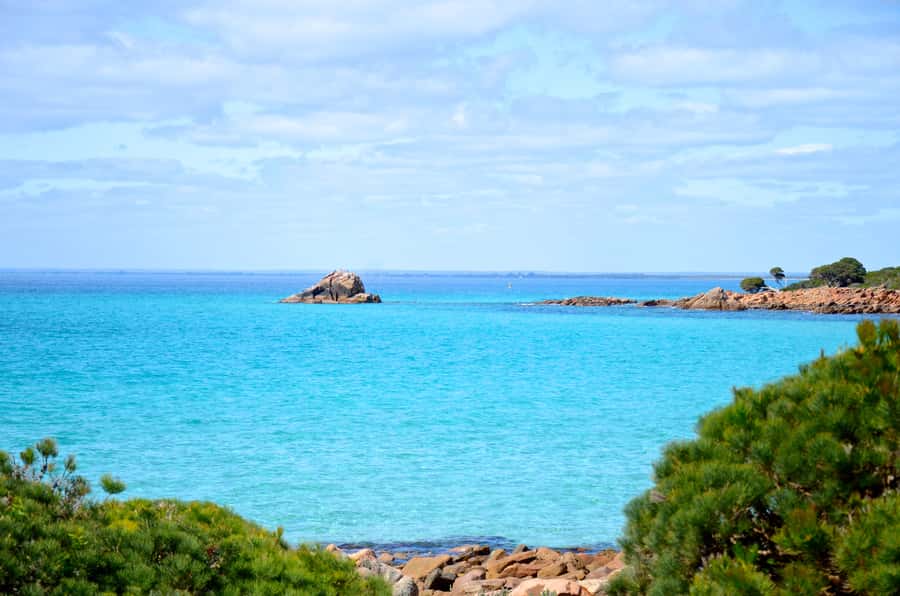 Half day Wine and Sights Discovery Tour Busselton - Local stories make the drive worthwhile
