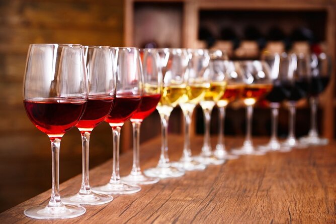 Half-Day Wine Tastings in the North Georgia Mountains - Key Points to Know