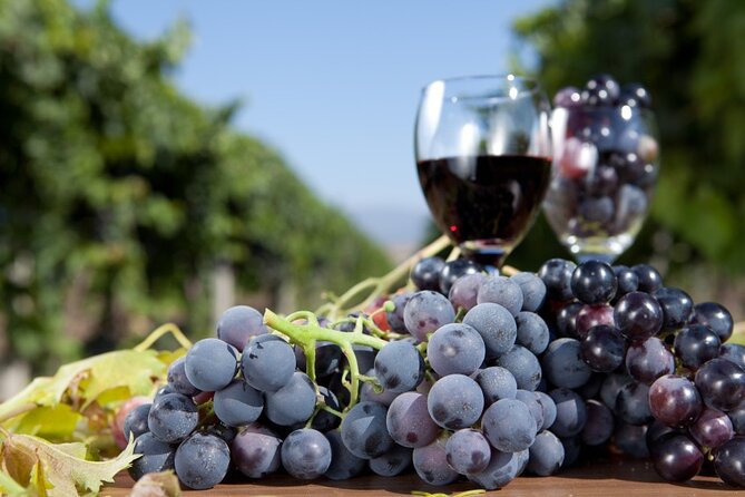 Half-Day Wine Tastings in the North Georgia Mountains - The Guides Make a Big Difference