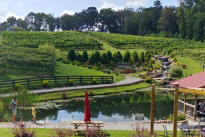 Half-Day Wine Tastings in the North Georgia Mountains - Is the $114.99 Price Fair?