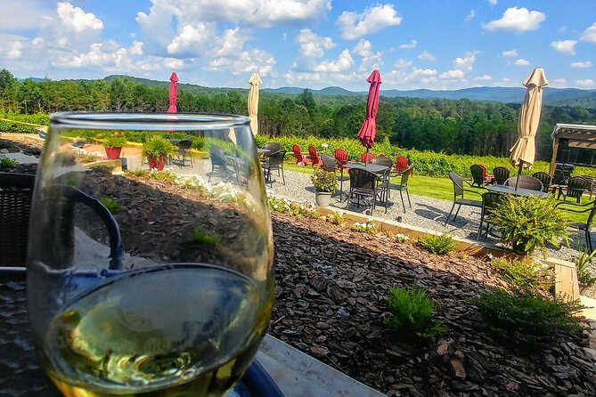 Half-Day Wine Tastings in the North Georgia Mountains - Who Will Enjoy This Most