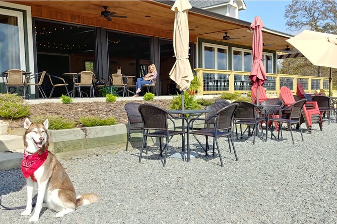 Half-Day Wine Tastings in the North Georgia Mountains - Timing, Weather, and Cancellation Details