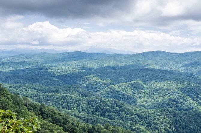Half-Day Wine Tastings in the North Georgia Mountains - Ott Farms and Vineyard and the Best Views