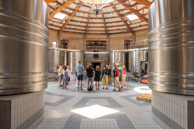 Half-Day Wine tour across Bordeaux’s Vineyards - What this Bordeaux wine tour is really like