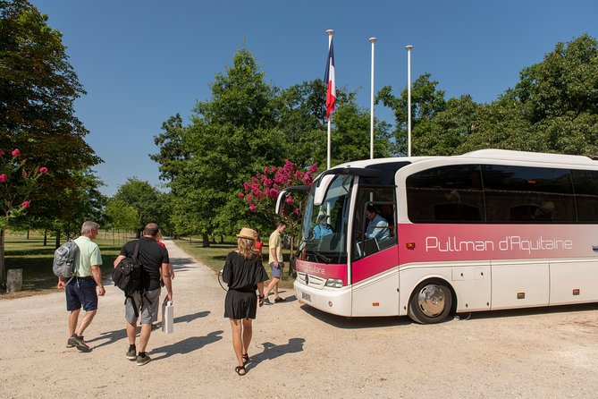 Half-Day Wine tour across Bordeaux’s Vineyards - From vineyard rows to the local château
