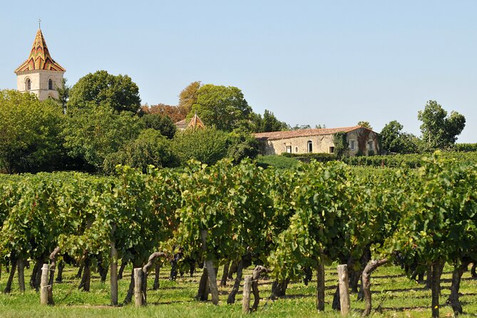 Half-Day Wine tour across Bordeaux’s Vineyards - Bilingual guiding and a group of up to 50