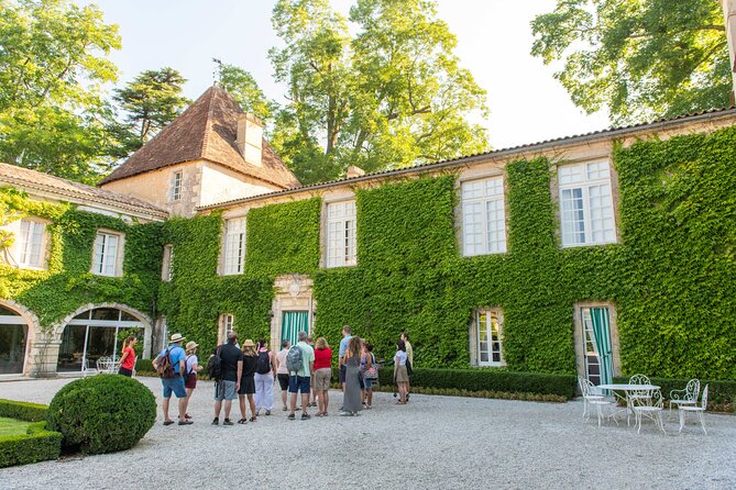 Half-Day Wine tour across Bordeaux’s Vineyards - Is the $70.81 price good value?