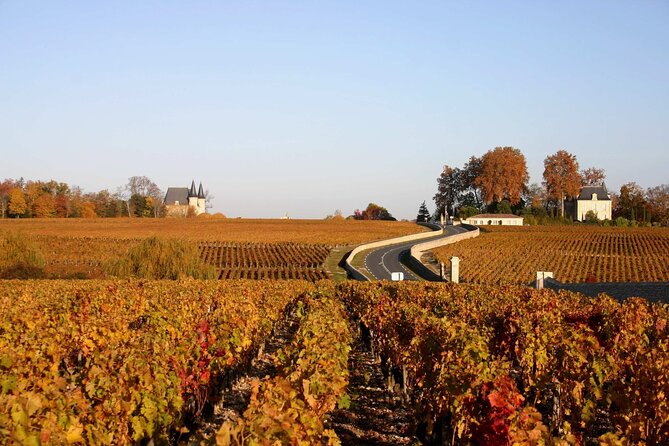 Half-Day Wine tour across Bordeaux’s Vineyards - Practical details that can make or break the afternoon