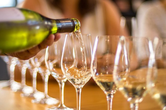 Half-Day Wine Tour from Blenheim - What happens at the 1:30 pm start