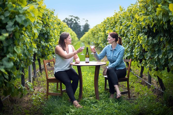 Half-Day Wine Tour from Blenheim - Three or four winery stops, not a fixed script