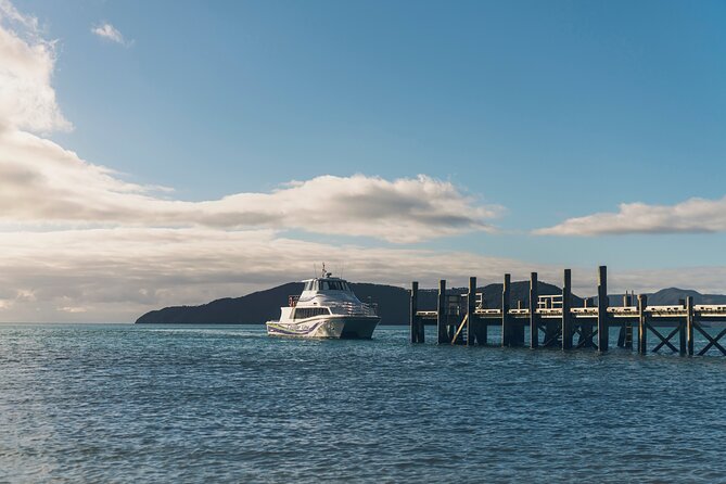 Half-Day Wine Tour from Picton - The social side of the shared van