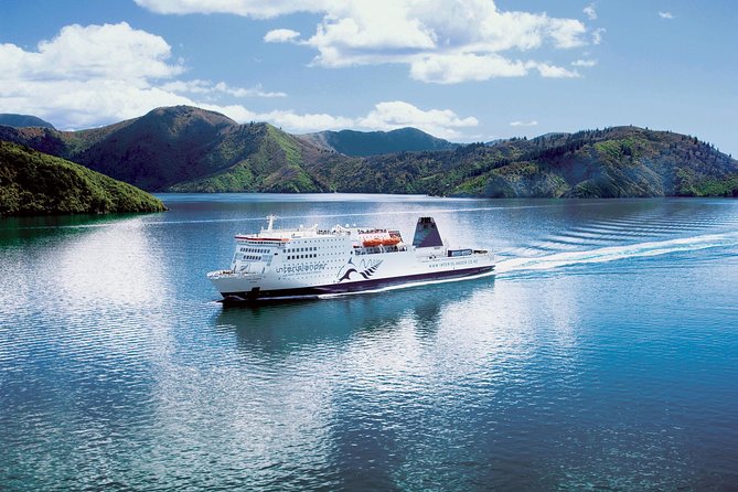 Half-Day Wine Tour from Picton - Practical details before you commit