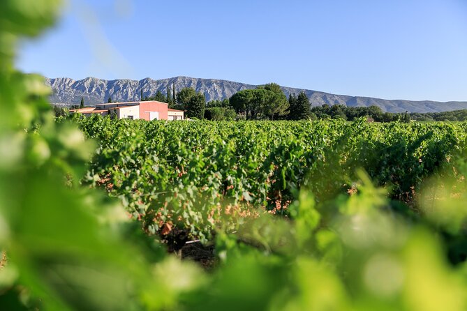 Half day Wine Tour in Côtes de Provence Sainte-Victoire from Aix en Provence - Key points at a glance