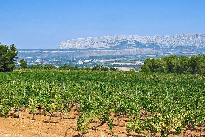 Half day Wine Tour in Côtes de Provence Sainte-Victoire from Aix en Provence - Tasting nine Provence wines