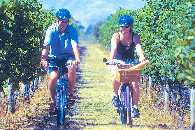 Hawkes Bay Wineries Self-Guided Bike Tour - Why a Hawke’s Bay bike ride works so well