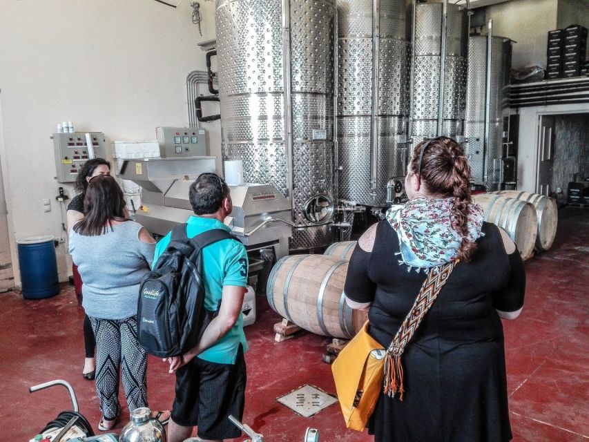 Heraklion: Cretan Wine Tasting Tour & Gourmet Lunch - Practical details that make the day easier