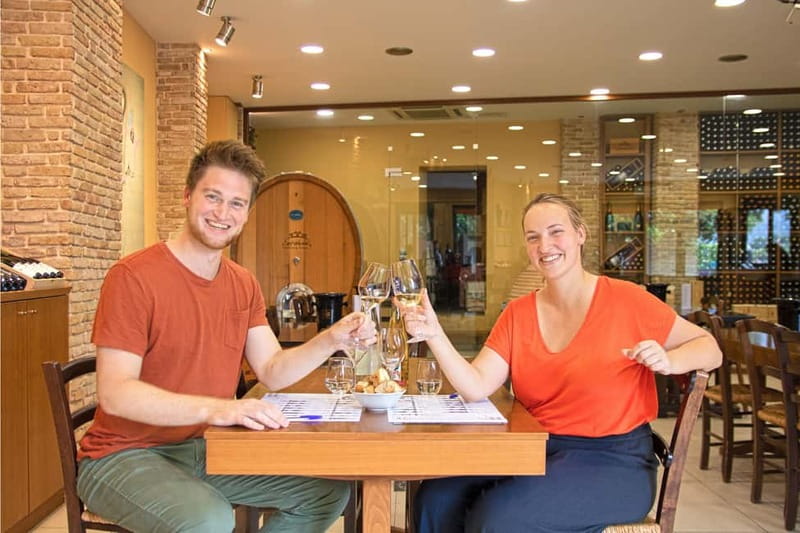 Heraklion: Douloufakis Winery, Tour and Wine Tasting - Inside the Cellar: Amphora, Barrels, and Modern Choices