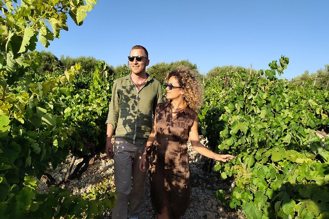 Heraklion SUV Private Guided Wine Tour with Lunch - Domaine Paterianakis: five wines below ground