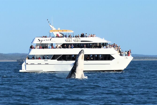 Hervey Bay Champagne Sunset Sail - How Comfortable Is the Boat?