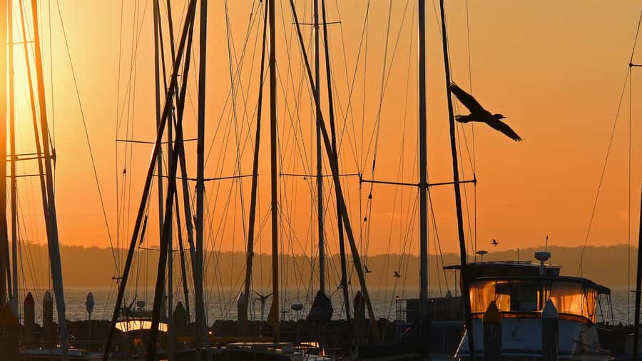 Hervey Bay: Relaxing Sunset Cruise with Champagne and Prawns - Butchulla place names and the meaning behind them