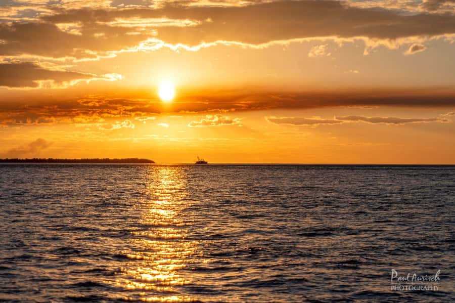Hervey Bay: Relaxing Sunset Cruise with Champagne and Prawns - What the atmosphere is really like