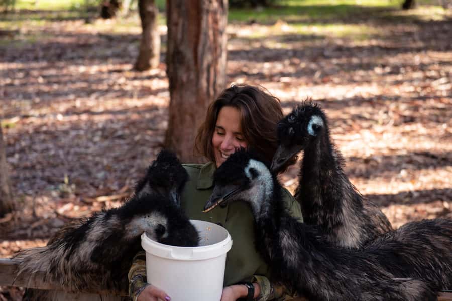 Hidden Gems Margaret River: Authentic Wine & Farm Experience - Three wineries show the range of Margaret River wine